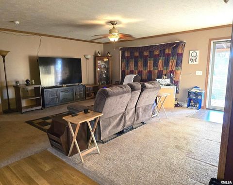 Tiny photo for 13960 Meridian Road, Carterville, IL 62918 (MLS # EB460643)