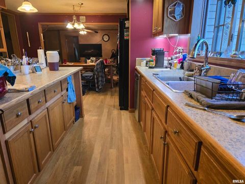 Tiny photo for 13960 Meridian Road, Carterville, IL 62918 (MLS # EB460643)