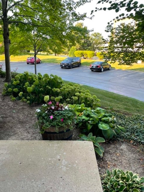 Tiny photo for 815 Leicester Road #214A, Elk Grove Village, IL 60007 (MLS # 12710503)