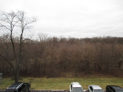 Tiny photo for 4010 150th Street #10, Midlothian, IL 60445 (MLS # 12563541)