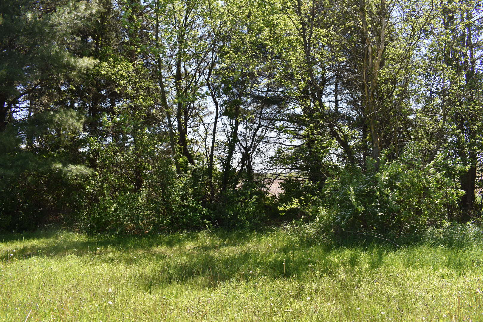 14119 W Maple Road