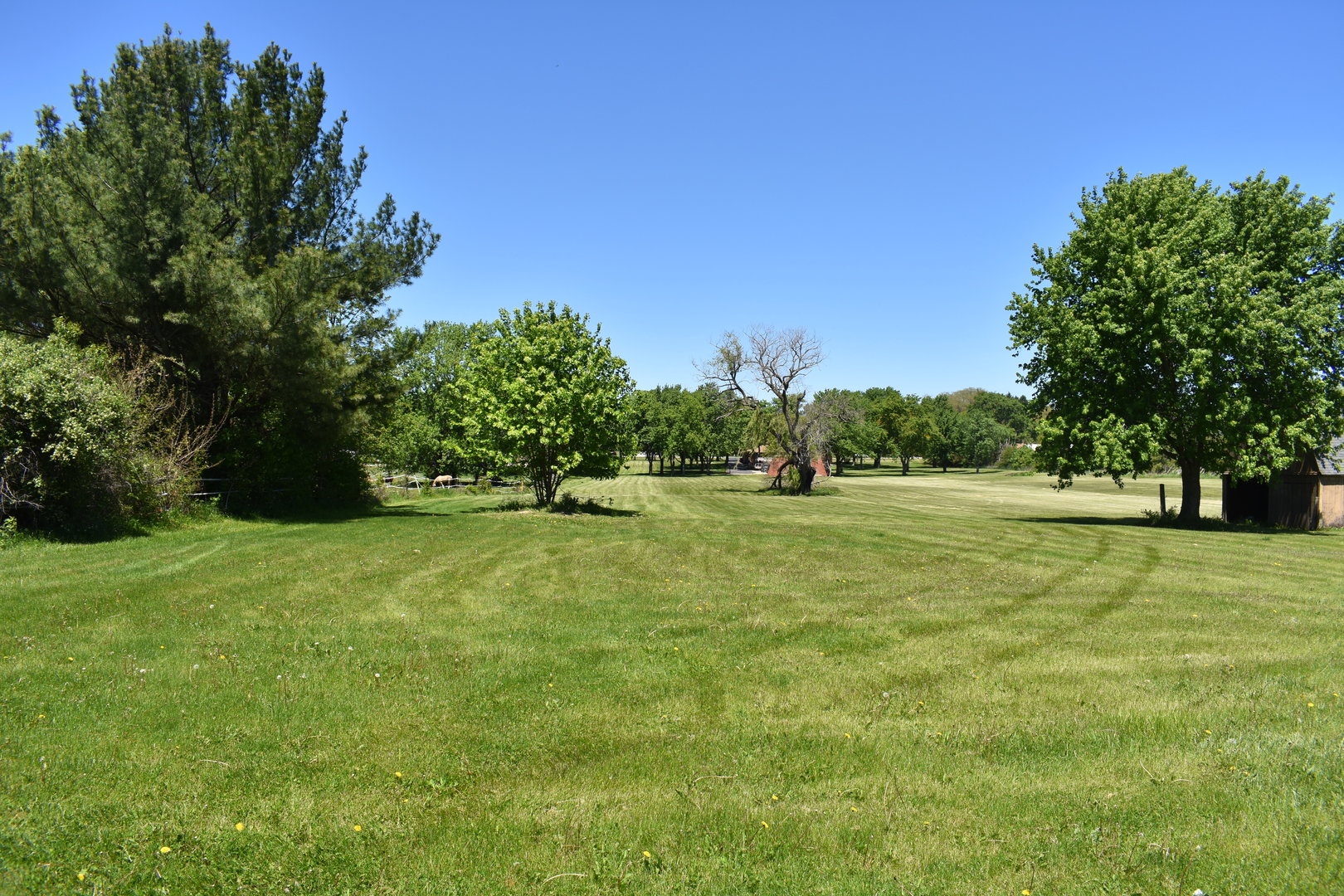 14119 W Maple Road