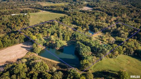 Tiny photo for 2145 Lick Creek Road, Anna, IL 62906 (MLS # EB460317)