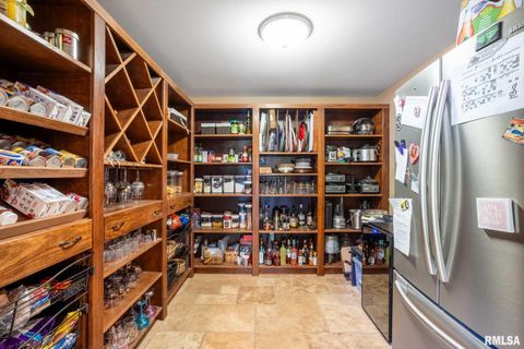 Tiny photo for 2145 Lick Creek Road, Anna, IL 62906 (MLS # EB460317)