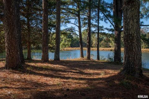 Tiny photo for 2145 Lick Creek Road, Anna, IL 62906 (MLS # EB460317)