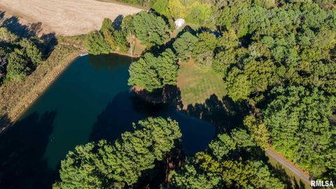 Tiny photo for 2145 Lick Creek Road, Anna, IL 62906 (MLS # EB460317)