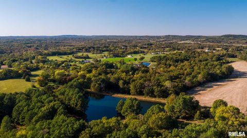 Tiny photo for 2145 Lick Creek Road, Anna, IL 62906 (MLS # EB460317)