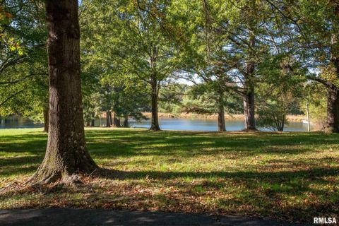 Tiny photo for 2145 Lick Creek Road, Anna, IL 62906 (MLS # EB460317)