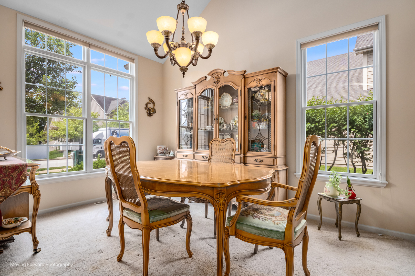 29w509 Cerny Circle