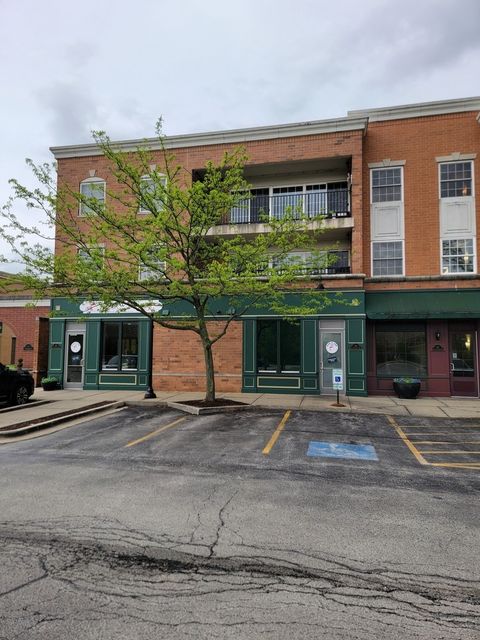 Tiny photo for 49 Old Frankfort Way #210, Frankfort, IL 60423 (MLS # 12631306)