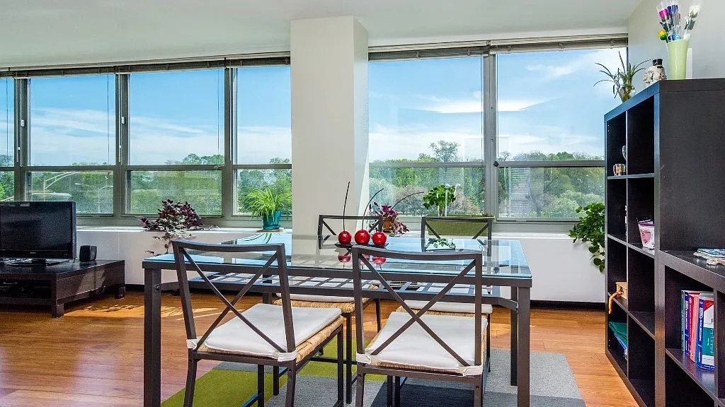 3550 N Lake Shore Drive 301