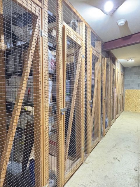 Tiny photo for 1430 Sandstone Drive #202, Wheeling, IL 60090 (MLS # 12491666)