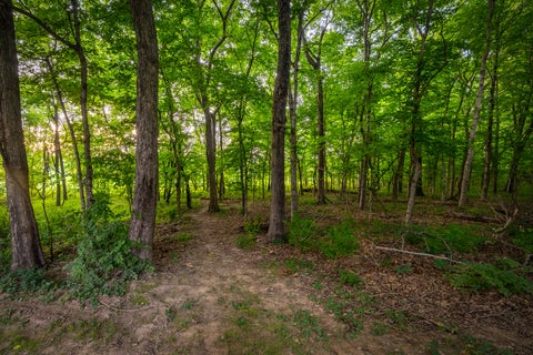 Tiny photo for 205 Blackhawk Drive, Carbondale, IL 62901 (MLS # 12777473)