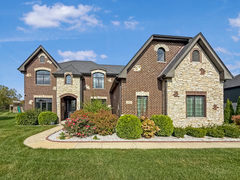 Tiny photo for 8884 Port Washington Drive, Frankfort, IL 60423 (MLS # 12578109)