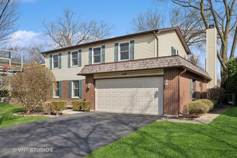 310 E Clarendon Street Arlington Heights IL 60004