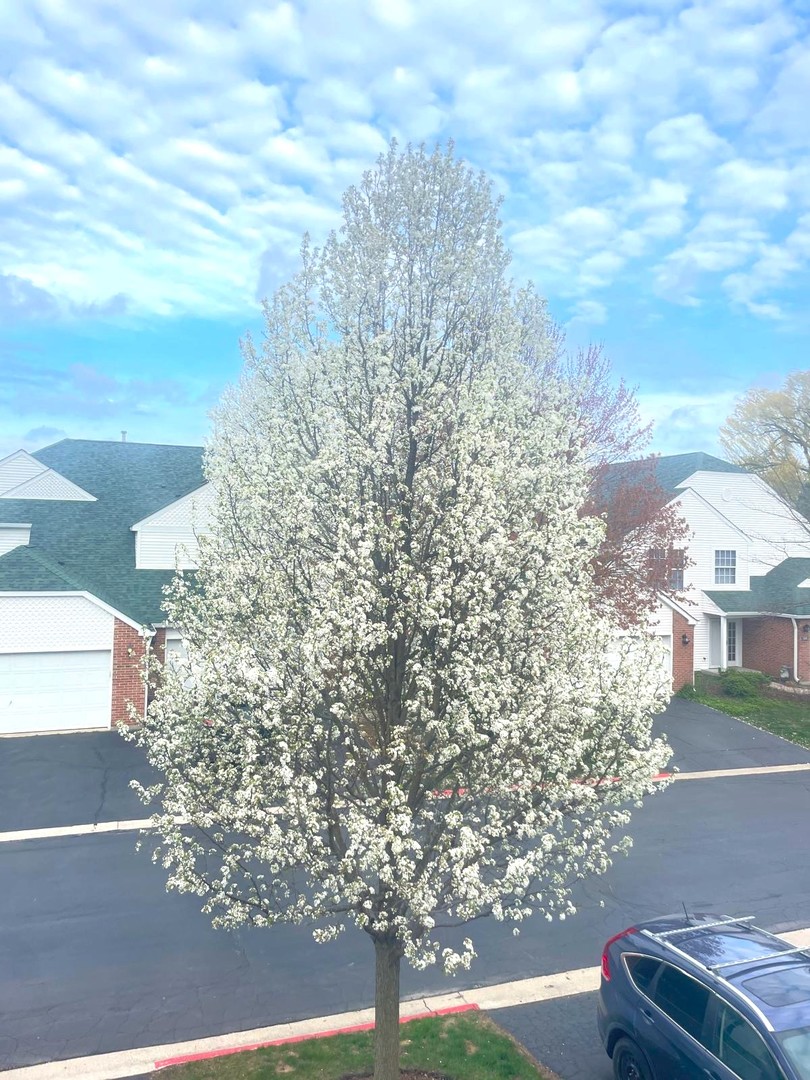 106 Pembroke Circle S 106