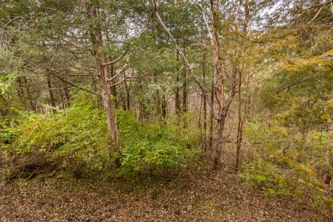 Tiny photo for 15 Talisman, Galena, IL 61036 (MLS # 12524840)