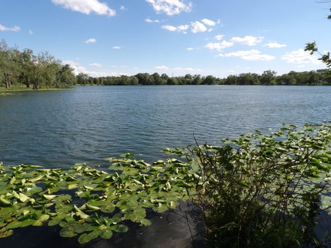 Tiny photo for 3640 186th Street #402, Lansing, IL 60438 (MLS # 12688819)