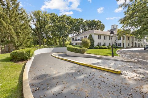 Tiny photo for 7319 Colony Lane #1G, Frankfort, IL 60423 (MLS # 12498033)