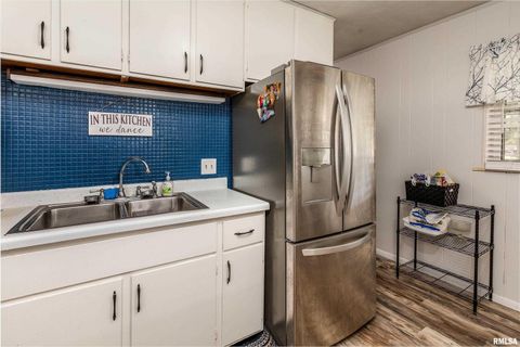 Tiny photo for 1514 E CLEVELAND Street, West Frankfort, IL 62896 (MLS # EB460274)