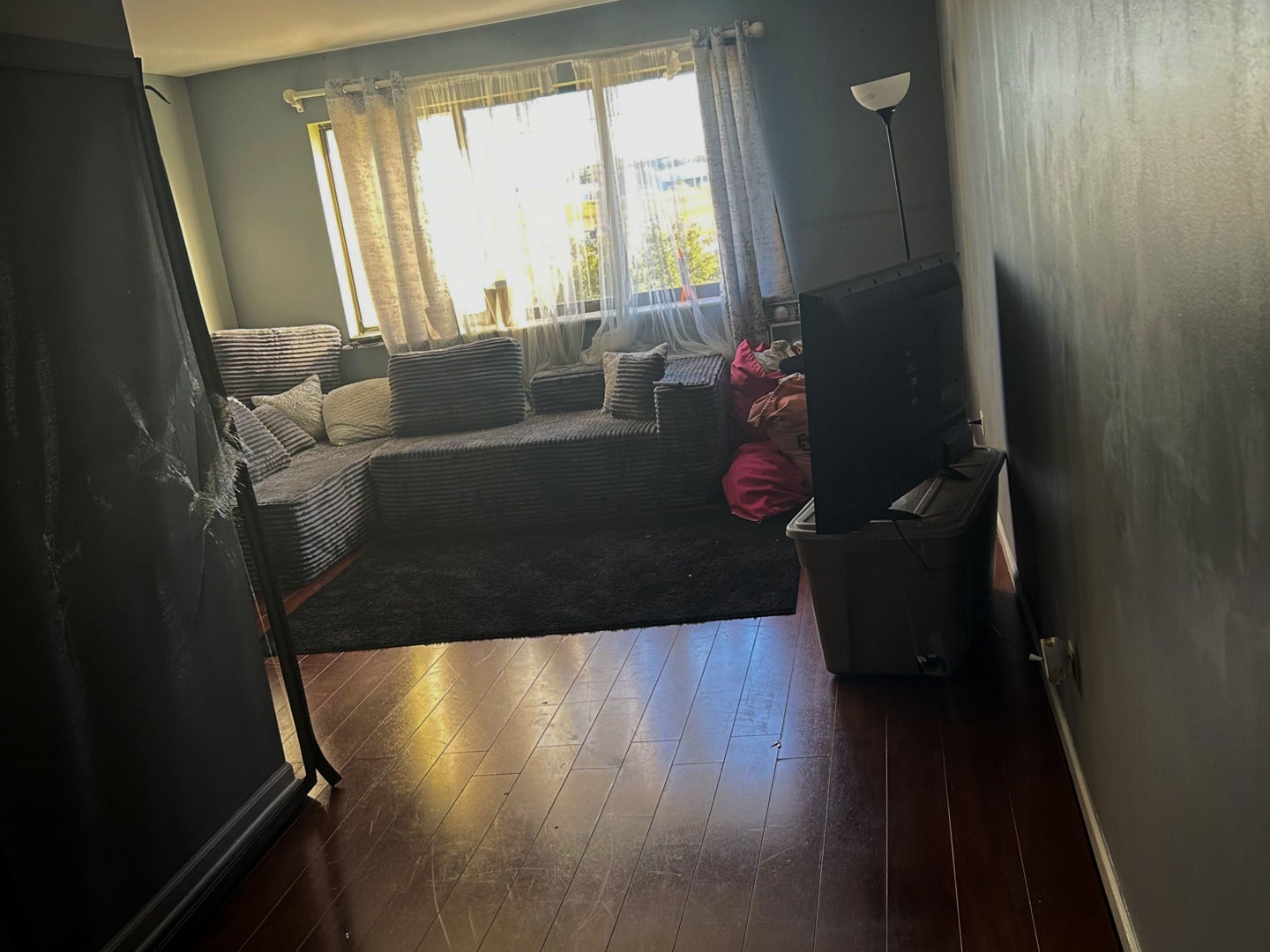 1462 Carol Court 3B