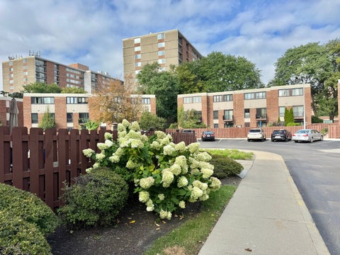 Tiny photo for 816 S Laflin Street, Chicago, IL 60607 (MLS # 12748995)