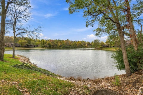 Tiny photo for 110 Elmtree Court, St. Charles, IL 60174 (MLS # 12784539)