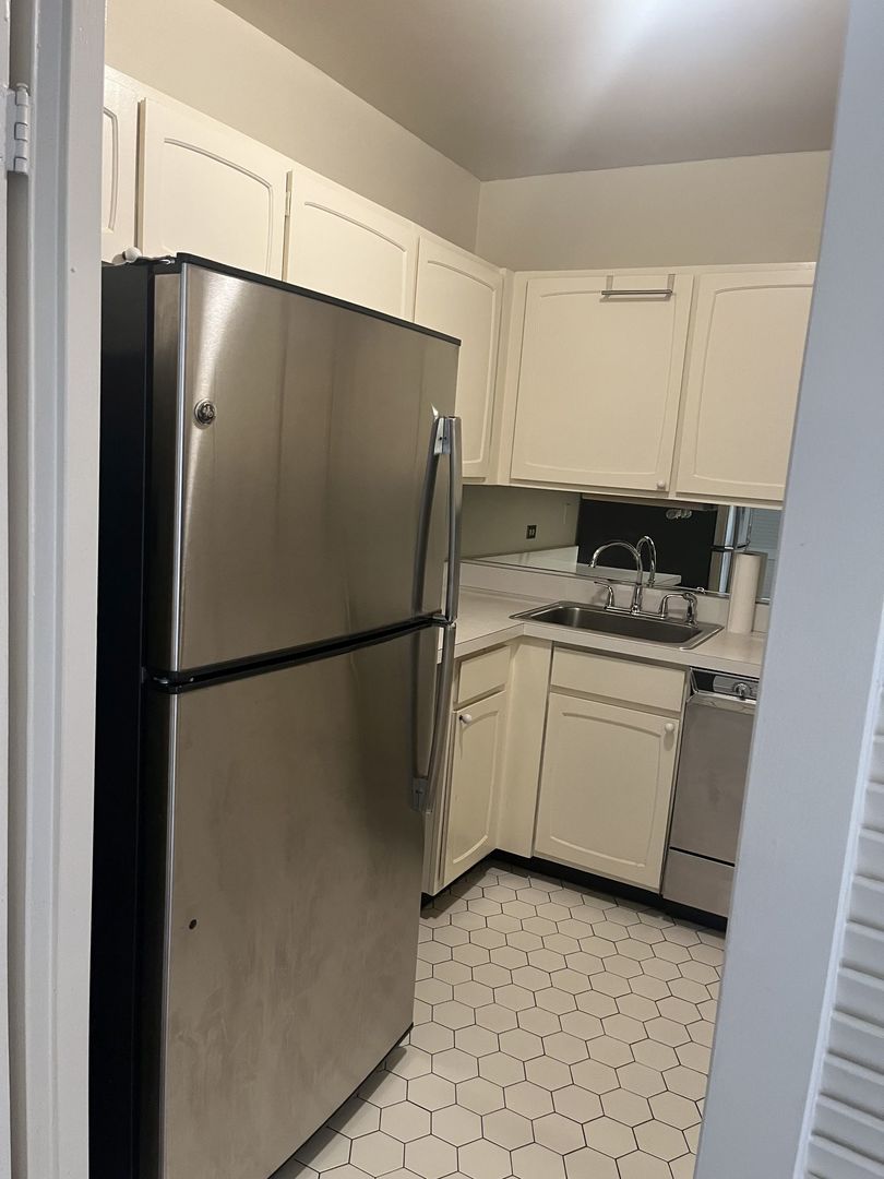777 N Michigan Avenue 3308