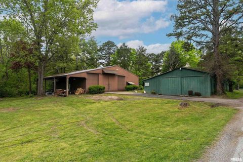 Tiny photo for 2525 EDGEWOOD Lane, Carbondale, IL 62901 (MLS # EB454423)