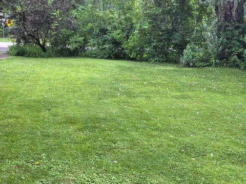 Tiny photo for 26216 N ELMWOOD Avenue, Mundelein, IL 60060 (MLS # 12722101)