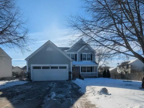 183 Indian Ridge Lane Lake Villa IL 60046