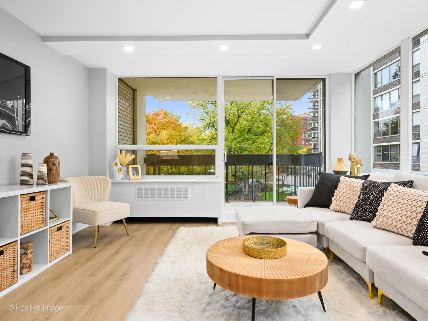 1455 N Sandburg Terrace 209B