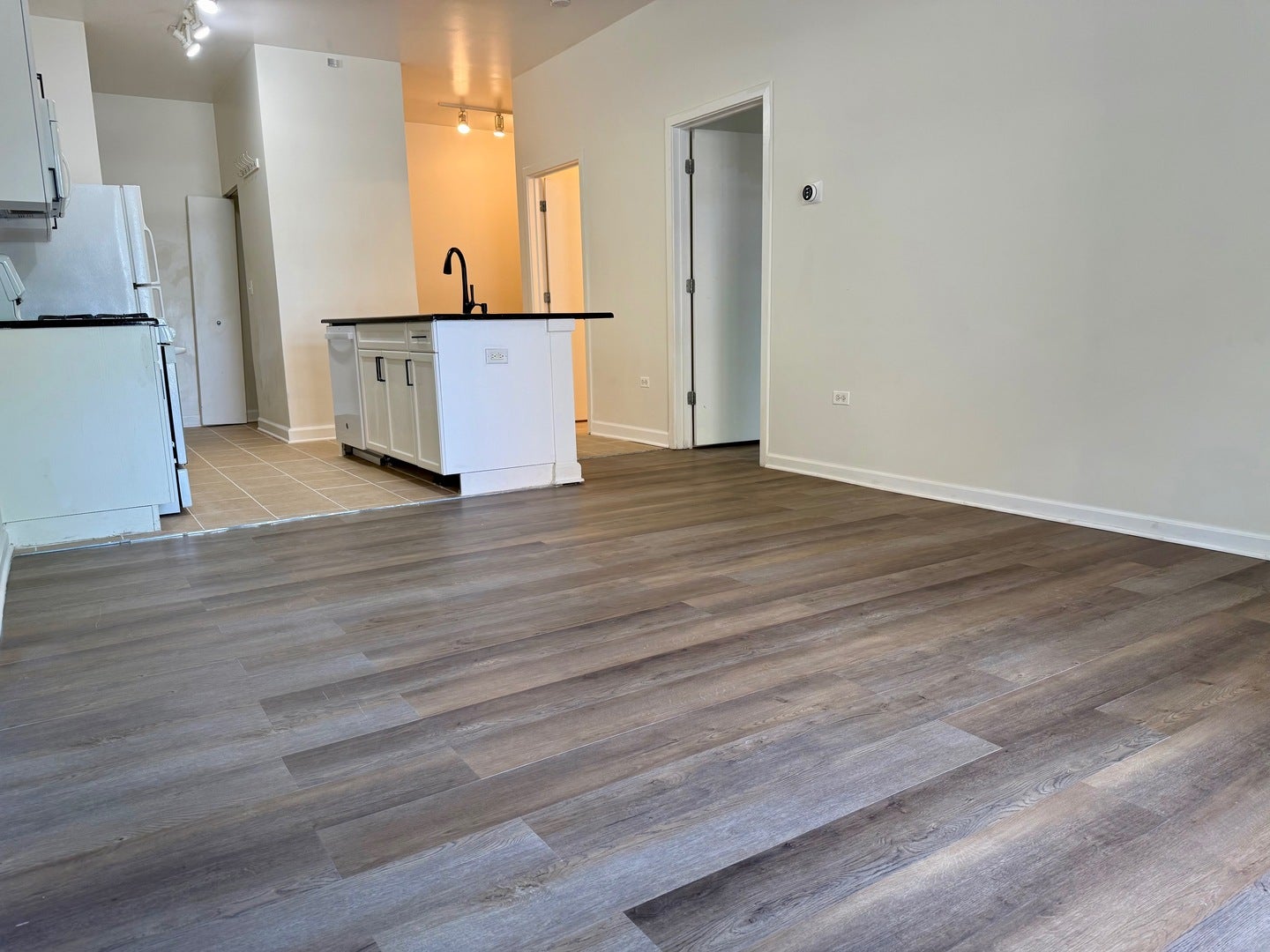 1351 S Halsted Street 105