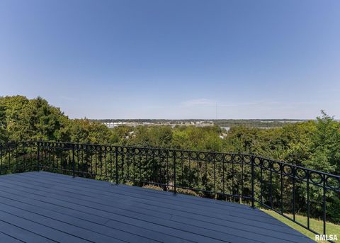 Tiny photo for 4510 5TH Avenue, Moline, IL 61265 (MLS # 12591070)