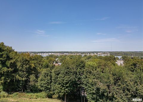 Tiny photo for 4510 5TH Avenue, Moline, IL 61265 (MLS # 12591070)