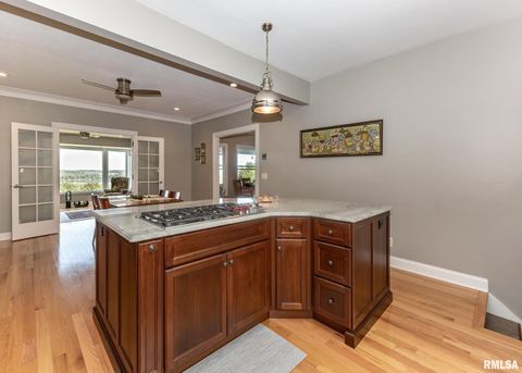 Tiny photo for 4510 5TH Avenue, Moline, IL 61265 (MLS # 12591070)