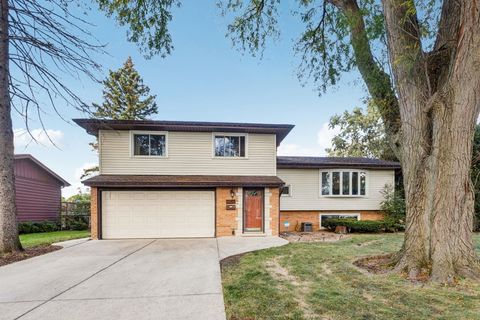 1504 E Emmerson Lane Mount Prospect IL 60056