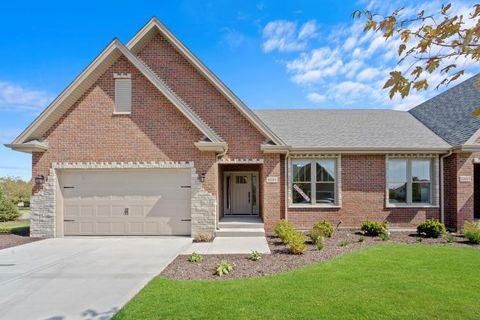 19502 TRAMORE Lane Mokena IL 60448