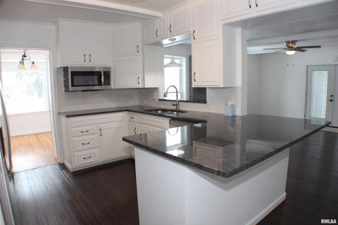 Tiny photo for 1611 COFFELT Avenue, Davenport, IA 52803 (MLS # QC4270067)