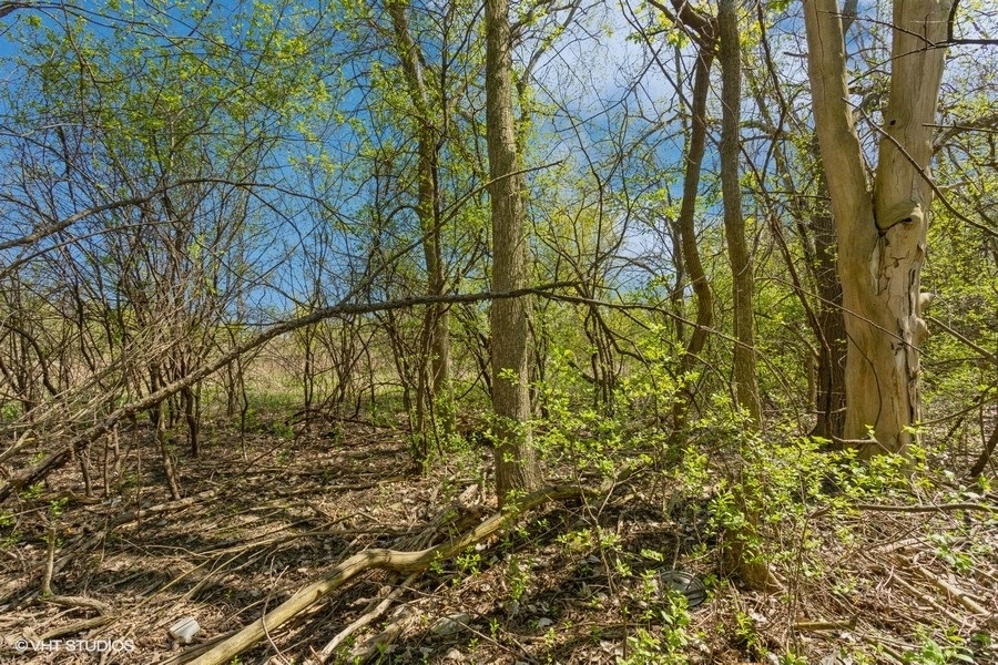 1630 LOT 4 Myrtle Park Street