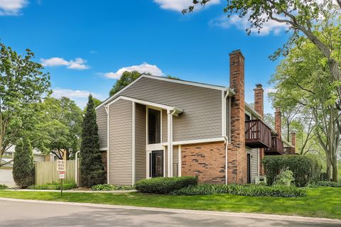 107 W Brighton Place Mount Prospect IL 60056