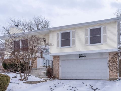 1005 Pheasant Ridge Drive Lake Zurich IL 60047
