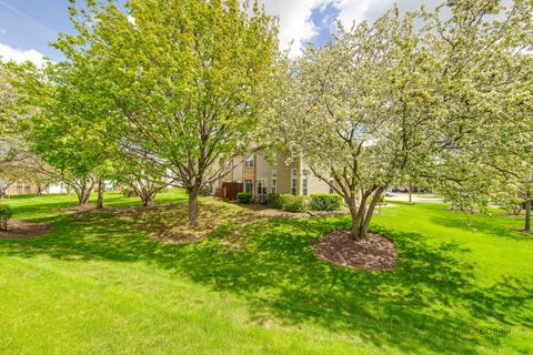 Tiny photo for 2944 Oak Court #2944, Schaumburg, IL 60193 (MLS # 12635170)