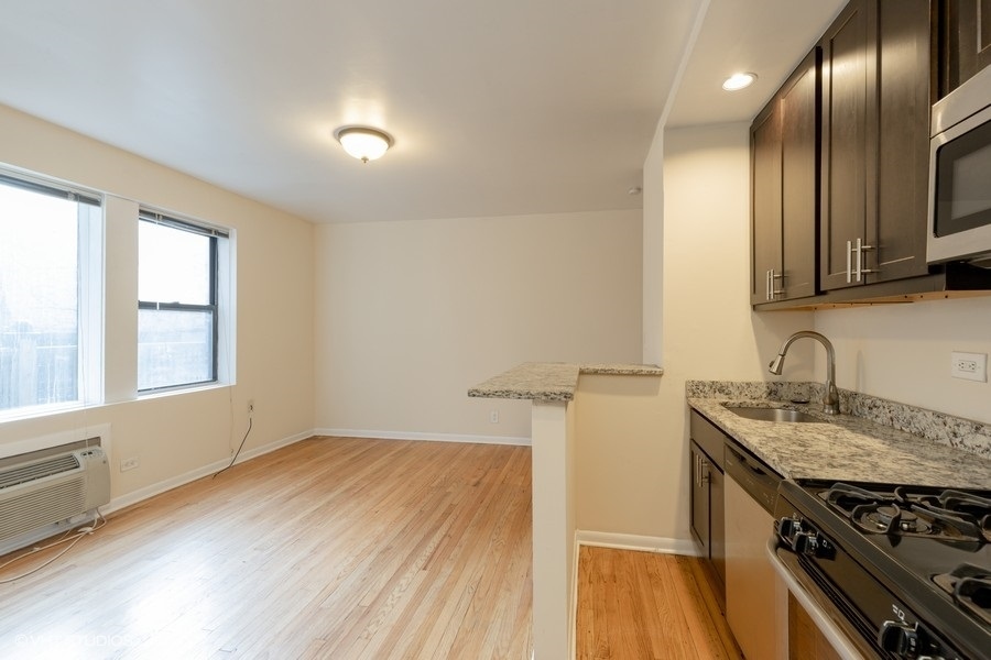 1504 N Dearborn Parkway 204