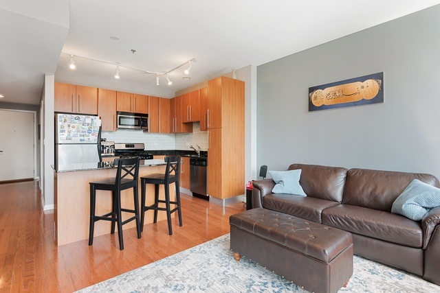 225 S Sangamon Street 803