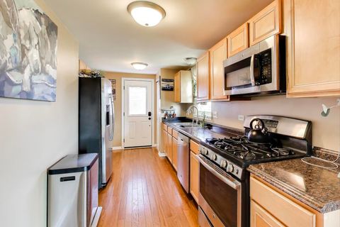 Tiny photo for 222 Harrison Street, Carpentersville, IL 60110 (MLS # 12530221)