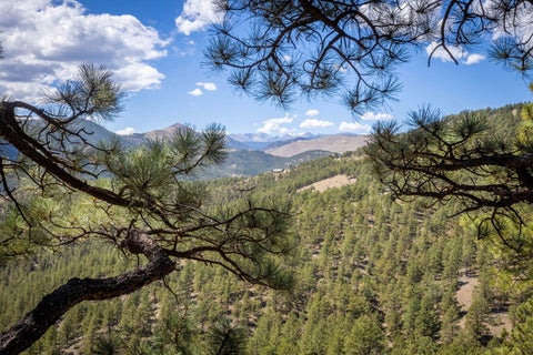 Tiny photo for 3367 Sunshine Canyon Drive, Boulder, CO 80302 (MLS # 12762887)