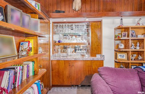 Tiny photo for 1114 S Perrine Street, Centralia, IL 62801 (MLS # EB459023)