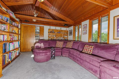 Tiny photo for 1114 S Perrine Street, Centralia, IL 62801 (MLS # EB459023)