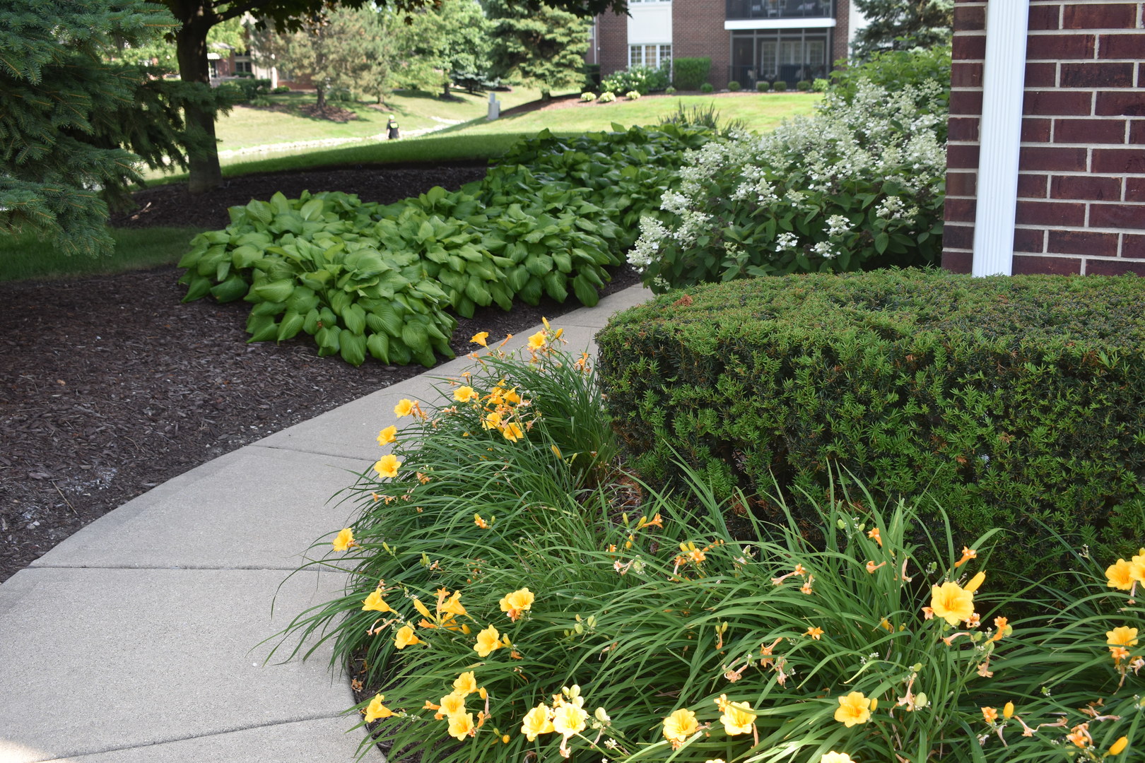 13058 Laurel Glen Court 203